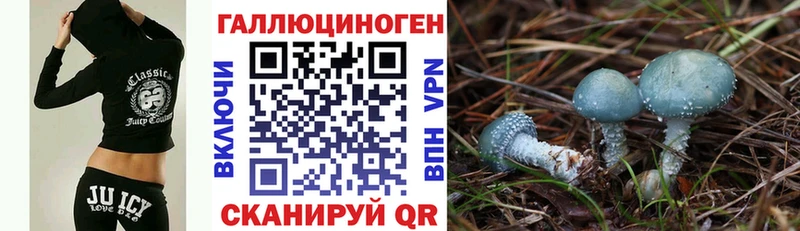 Галлюциногенные грибы Psilocybe  Спас-Клепики 