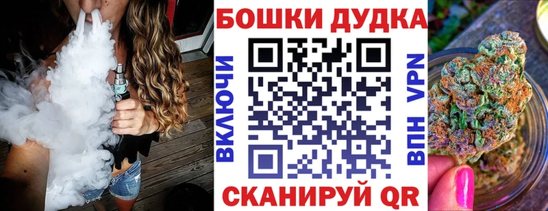 Шишки марихуана Amnesia Спас-Клепики